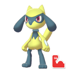 Riolu (Marked)